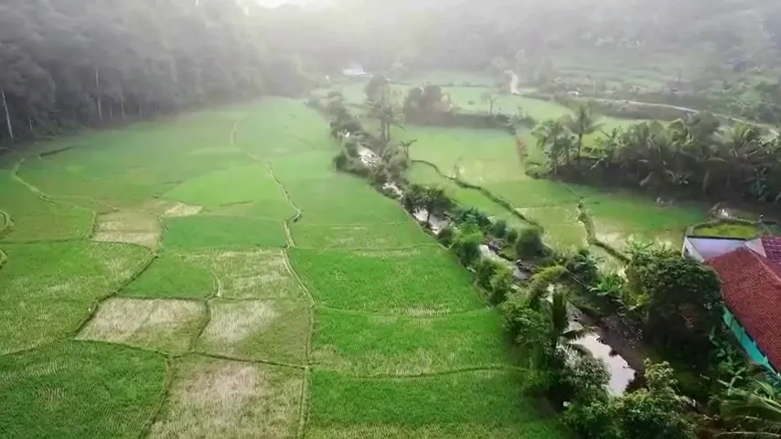 Green paddy fields in a valley with a drainage channel